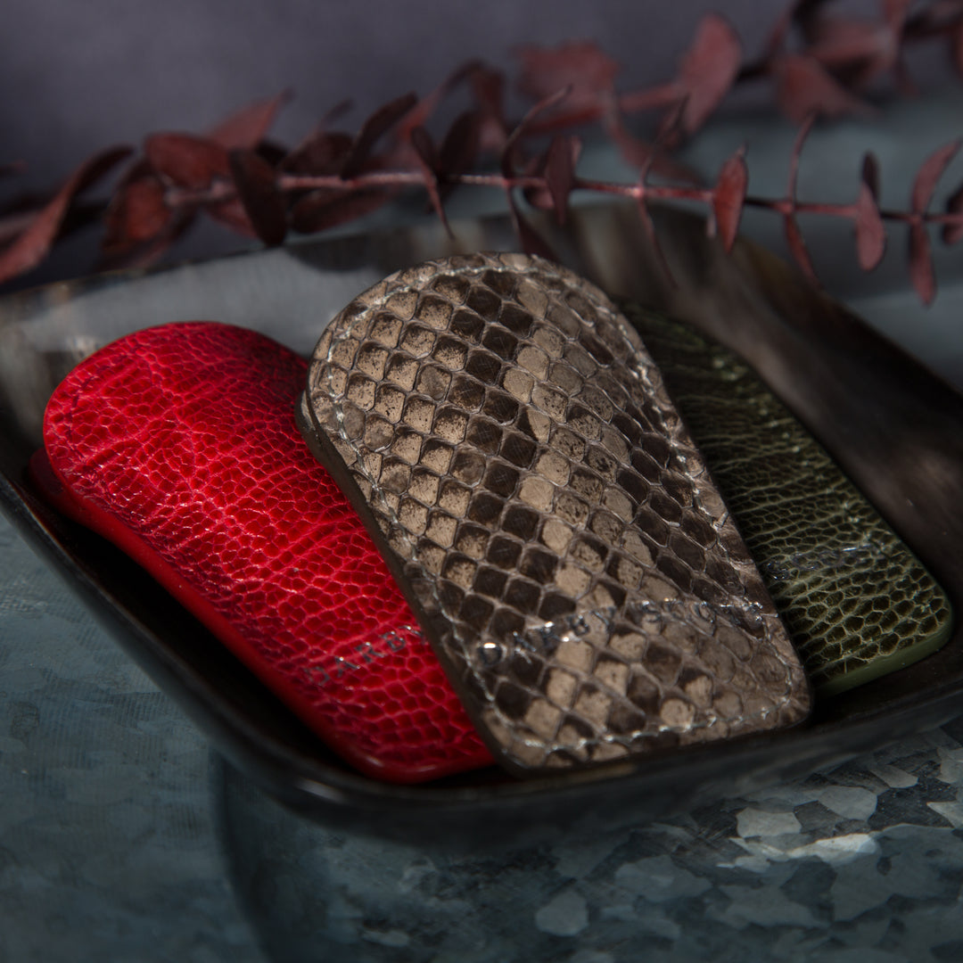 Red, brown and green shoehorn cases on table
