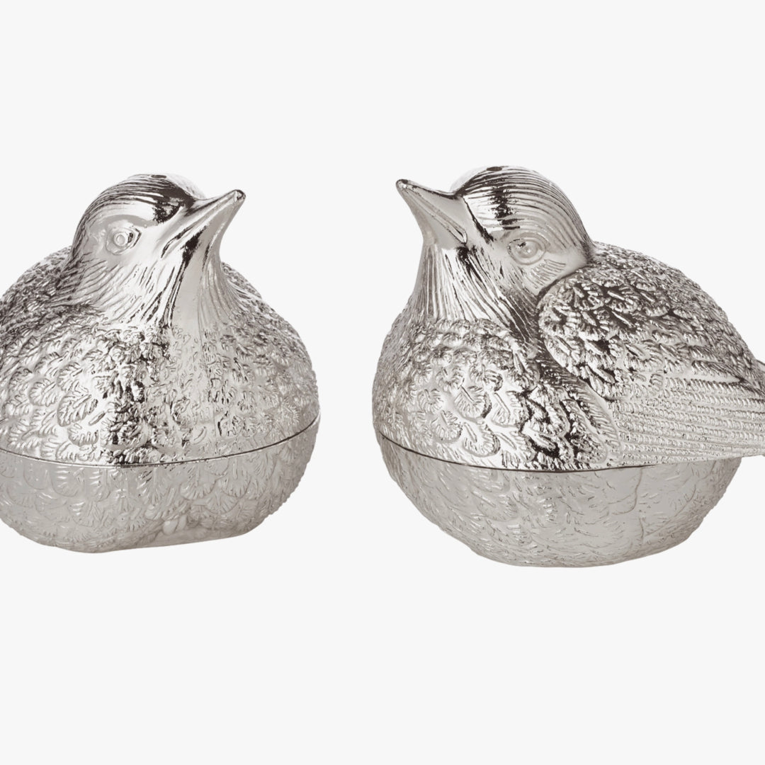 Silver Plated Salt & Pepper Shakers - Darby Scott